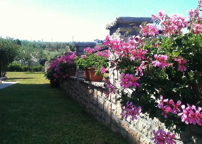 The Orange One Lejlighed