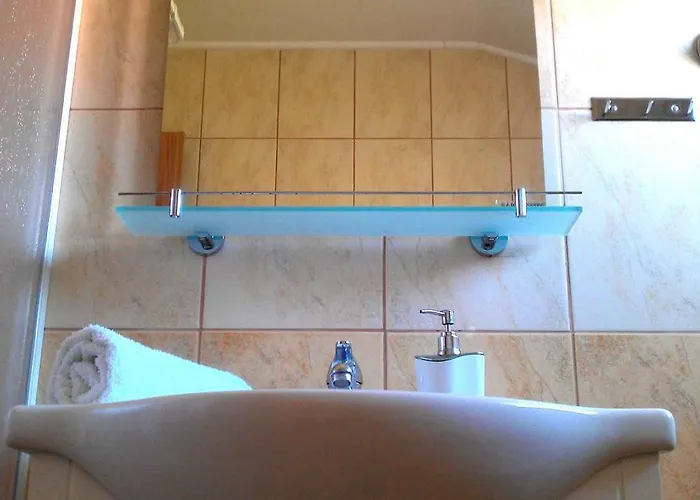 The Orange One * Novigrad Istria