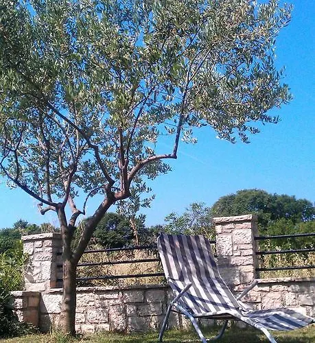 Lejlighed The Orange One