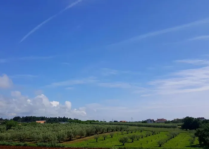 The Orange One Novigrad Istria