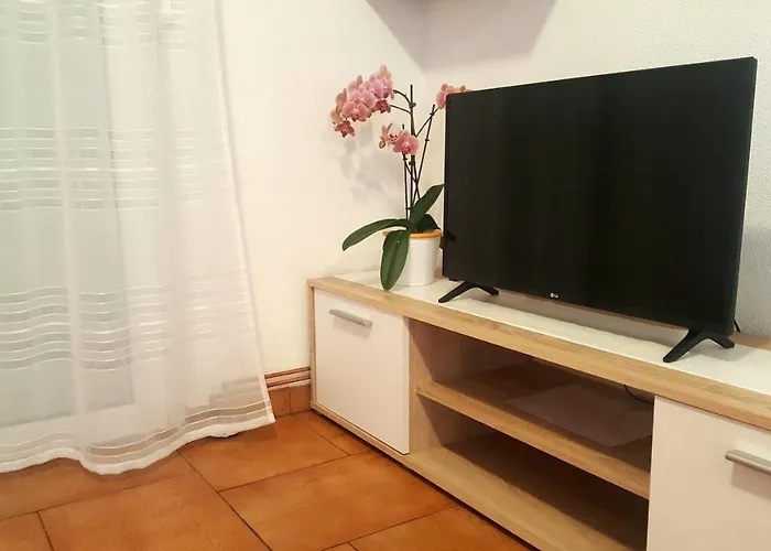 The Orange One Novigrad Istria