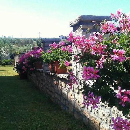 The Orange One 아파트