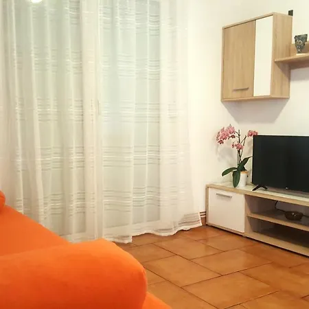 Daire The Orange One Novigrad Istria