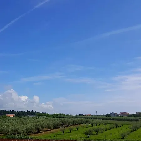 The Orange One Novigrad Istria