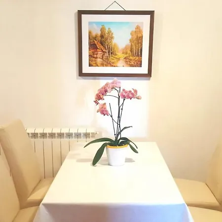 Apartman The Orange One