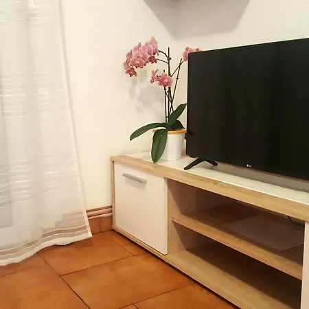 The Orange One Novigrad Istria